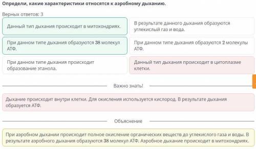 Определи, какие характеристики относятся к аэробному дыханию. Верных ответов: 3 При данном типе дыха