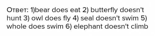 4 ***Write affirmative and negative sentences about six of the animals in exercise 3. Aparrot deesn'