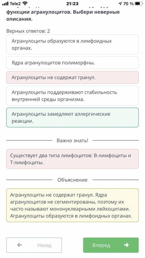 Эти утверждения описывают структуру и функции агранулоцитов. Выбери неверные описания. Верных ответ