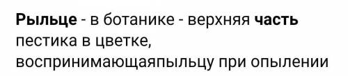 Рыльце это часть Цветоножки Лепестка Венчика Пестика Пыльника