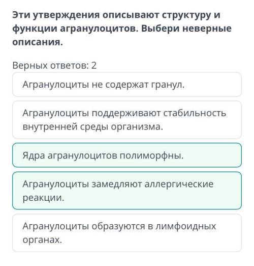 Определи, какие из описаний соответствуют зернистым лейкоцитам. 1. Представлены моноцитами и нейтроф