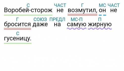 Воробей-сторож не возмутил,он не бросится даже на самую жирную гусеницу. Синтактический разбор! зар