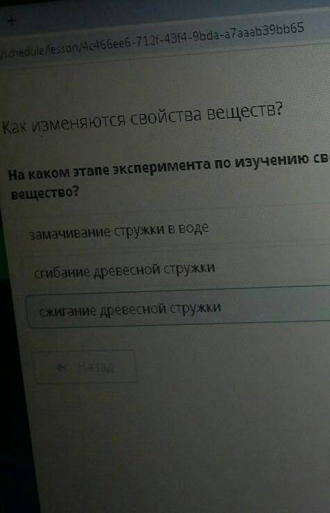 На каком этапе эксперимента по изучению свойств древесной стружки происходит изменение вещества и по