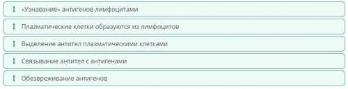 Определи правильную последовательность этапов механизма гуморального иммунитета. 1 «узнавание» антиг