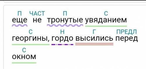 Сделать синтактический разбор предложения 1. Eще не тронутые увяданием георгины, гордо высились пере