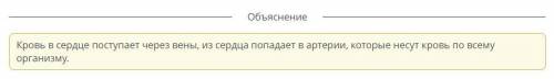 помагите. Укажи, куда попадает кровь из сердца.веныкапиллярыпредсердиеартерии​