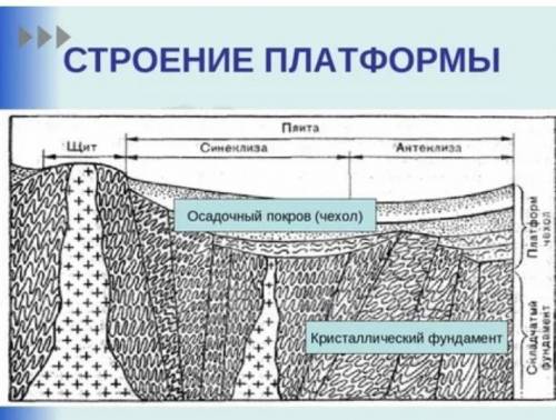 Какое строение имеют платформы материков?