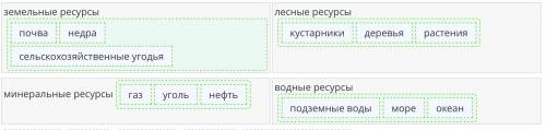 Какие ресурсы относятся к природным, какие – к минеральным, лесным и водным? Природные ресурсы – это