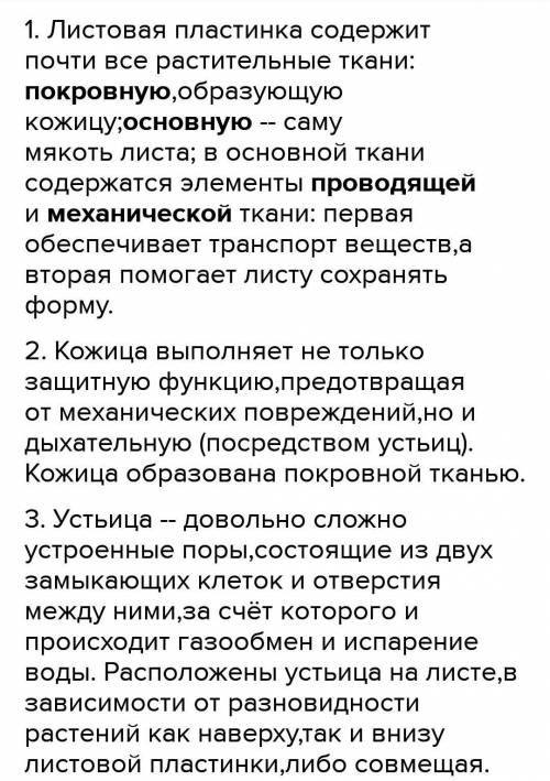 Вопросы 1Какие клетки образуют листовую пластинку?образована?3. Что такое устьица и где они располож