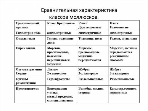 составить таблицу сравнительная характеристика классов моллюсков : 1. Форма раковины 2. голова и гол