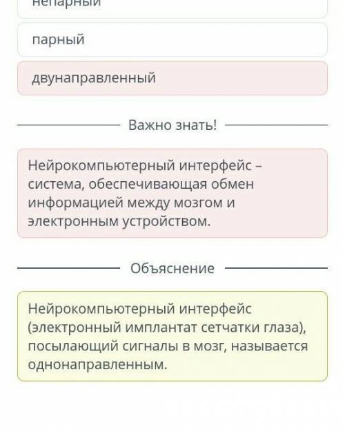 1.выбери как называется нки, посылающий сигналы в мозг, от электронного импланта сетчатки глаза ​