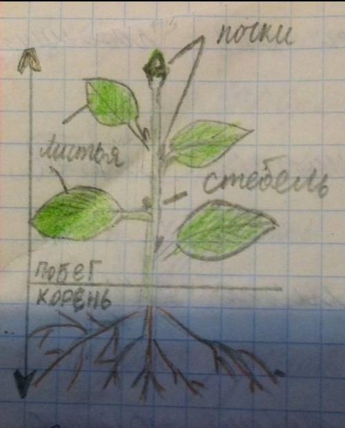 Кто тому подписка + просто умоляю врямя (у меня) 2 часа ночи, а я всё это делаю ​