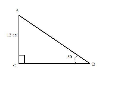 2. В прямоугольном треугольнике АВС (∠С =90°) катет АС = 12 см, ∠В = 30°. Найдите длины неизвестных