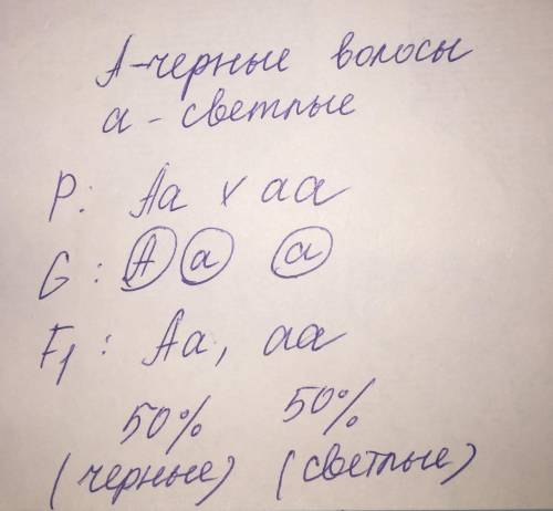 РЕШИТЬ у человека черные волосы-доминантный над светлыми. Какова вероятность рождения детей с черн.