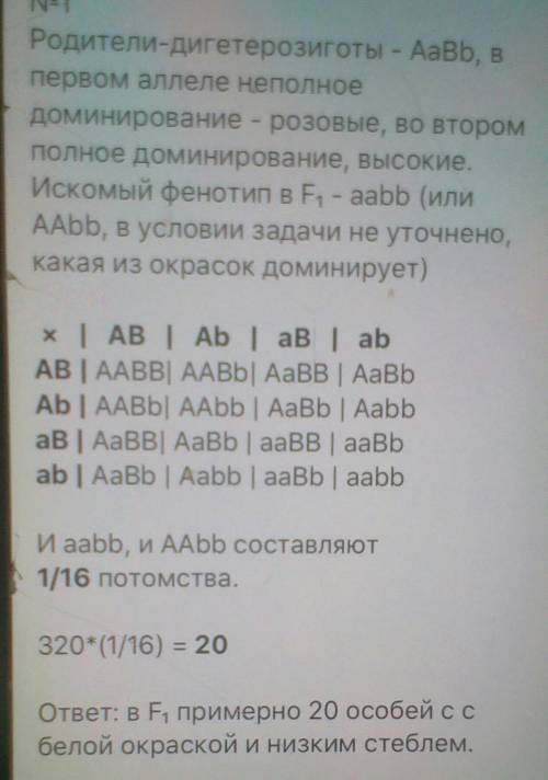 Окраска цветков у ночной красавицы наследуется по промежуточному типу (красные, розовые и белые цвет