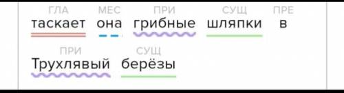 Синтаксический разбор таскает она грибные шляпки в Трухлявый берёзы ЭТО