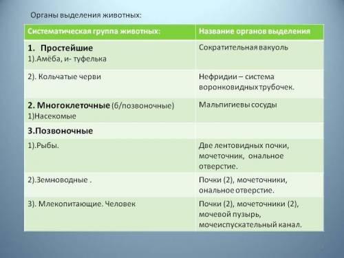 Заполните таблицу Осуществление выделения у организмов. 1. Царства живых организмов 2. Примеры 3