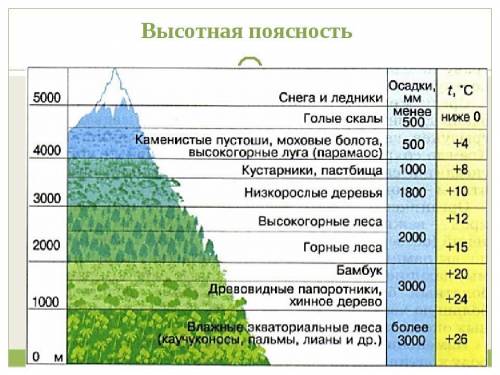 Задание 2: Составьте схему с пояснениями «Формирование природных зон в горах», используя текст. [2]