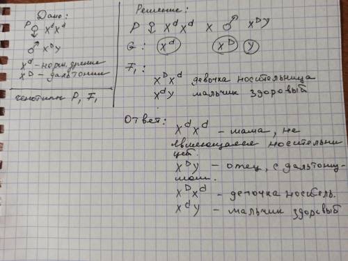 Решите задачу В брак вступили девушка, нормально различающая цвета и юноша дальтоник, гены дальтониз