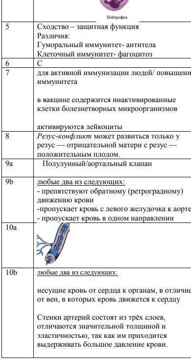 СОЧ по биологии за 2 четверть 8 класс 2 вариант 1. Рассмотрите рисунок и установите соответствие 1.К