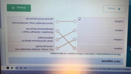 Объясни взаимосвязь строения стебля и корня с их функциямикореньось, опора, котораясвязывает все час