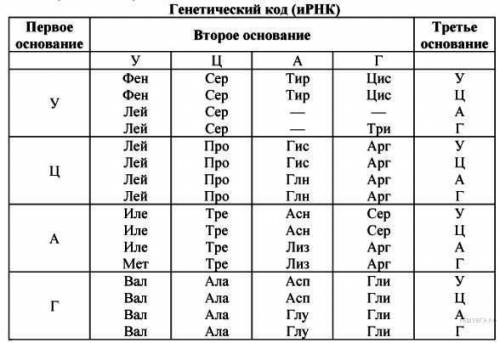 Лівий ланцюг ДНК має порядок нуклеотидів: А – Т – Г – А – Т – Т – Ц – Т – А – Ц – Г – А – Т – Г – Т