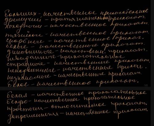 разряды слов :больших,дремучих,холодным,тяжёлые,скорбные,белые,диковинные,невиданные,странные,неподв