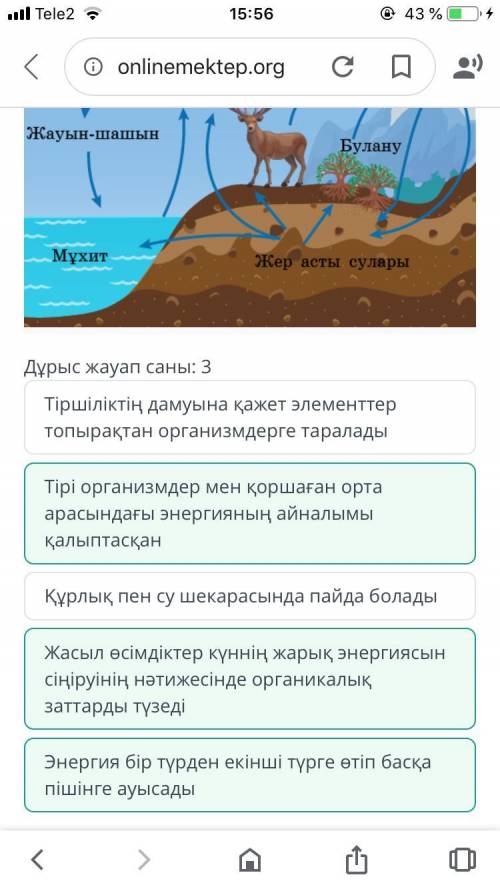 Круговорот веществ в природе Ученик с схемы изобразил формирование круговорота веществ.Проанализируй