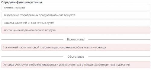 Продукты выделения у растений: начальные и конечные продукты фотосинтеза и дыхания.Лабораторная рабо