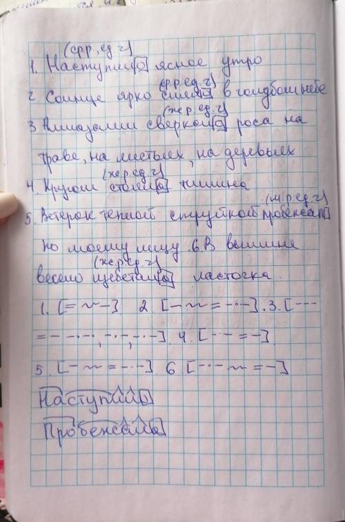 Упражнение 184. Спишите, вставляя пропущенные буквы. Выделите окончания глаголов времени, определите