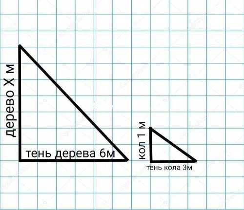 Выберите какое нибудь дерево во дворе и определите его высоту.