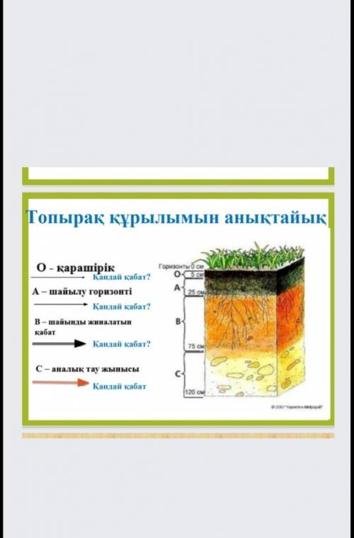 Берілген сөздерді қолдана отырып, топырақ қабаттарының кесіндісін жазыңыз (шайылу горизонті, қарашір