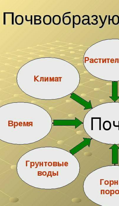 Заполните кластер почвообразования образующие факторы ​