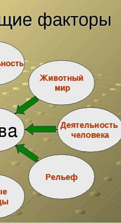 Заполните кластер почвообразования образующие факторы ​