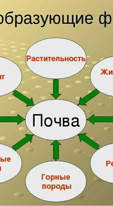 Заполните кластер почвообразования образующие факторы ​