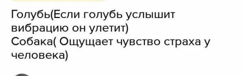 Запиши свойства организмоы,которые удалось обнаружить во время наблюдения про кота​