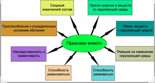 Ребята составить кластер или схему на тему Свойство живы организмов естествознание