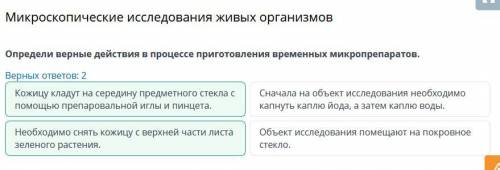 Микроскопические исследования живых организмов Определи верные действия в процессе приготовления вре