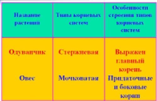 На оснавании полученных результатов сделайте вывод особенностях строения разных типов кррневых систе