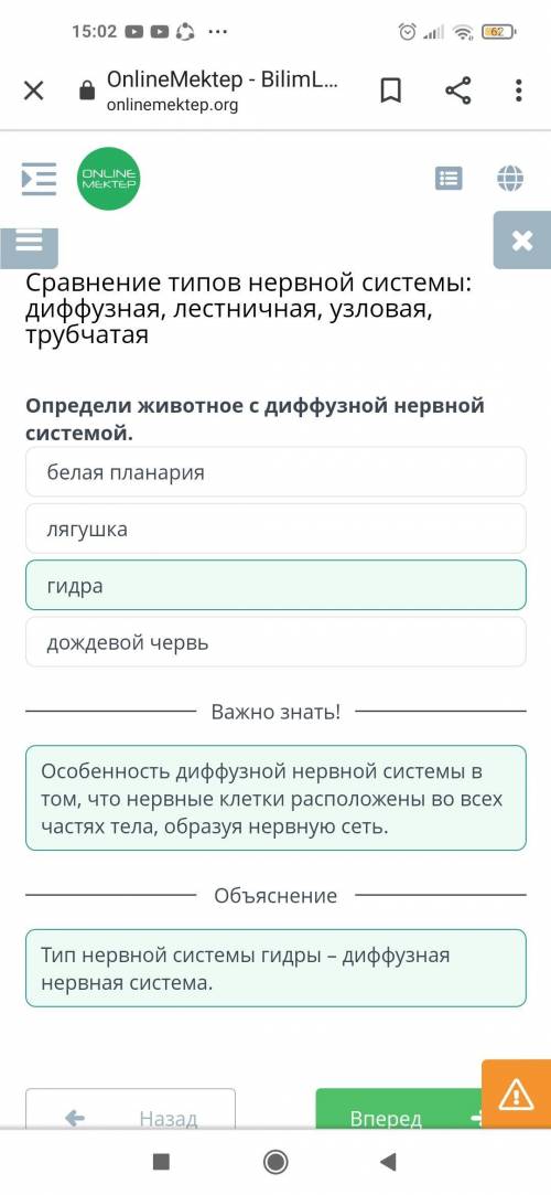 Сравнение типов нервной системы: диффузная, лестничная, узловая, трубчатая Определи животное с диффу