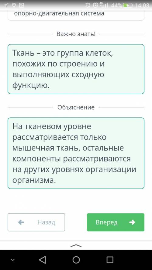 Определи компонент организма, рассматриваемый на тканевом уровне. сердечная мышца опорно-двигательна