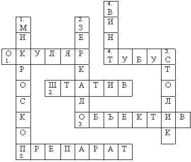 По горизонтали: 1. Оптическая часть увеличительного прибора, в которуюсмотрят.2. Часть, которая служ