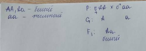 у гарбуза білий колір плодів А домінує над жовтим а. Який буде зовнішній вигляд F1, якщо схрестити г