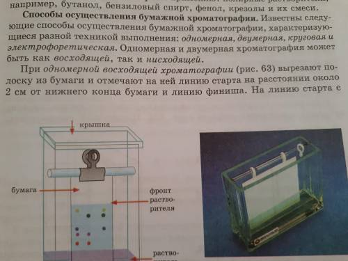 какое свойство разделяемых веществ характеризуется показателем Rf? в чём его физический смысл? какие