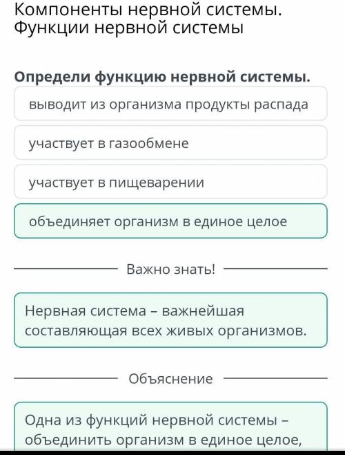 Компоненты нервной системы. Функции нервной системы Определи функцию нервной системы.задание 2 онлай