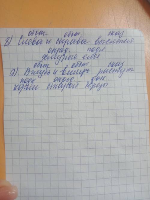 Напишите сверху однородных членов чем они являются в предложении: подлежащим, сказуемым, дополнением