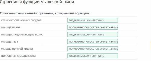 Сопоставь типы тканей с органами которые они образуют​