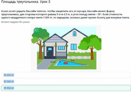 Площадь треугольника. Урок 3 Асхат хочет укрыть бассейн тентом, чтобы защитить его от мусора. Бассей