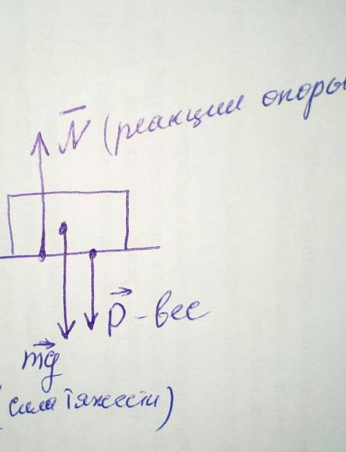 Банка массой 2 кг стоит на столе. На рисунке показать силуреакцию опоры, силу веса и силу тяжести