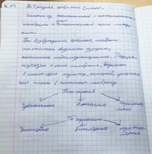 1. Что изображено на рисунке? 2. Опишите процесс. 3. Составьте схему типы нейронов. Хэлп ми